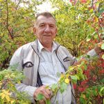 Сергей, 69 лет